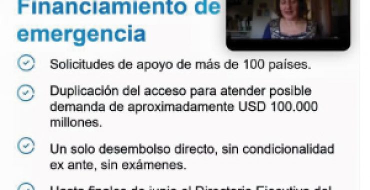 El Fondo Monetario Internacional y su papel en el sistema financiero